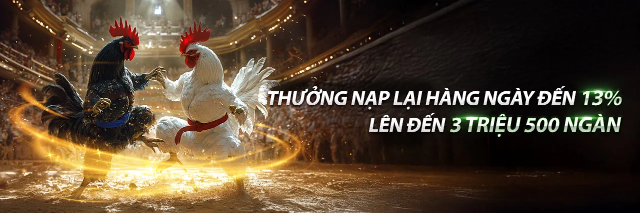 FBC8 Thể Thao - Sân vận động bóng đá sôi động