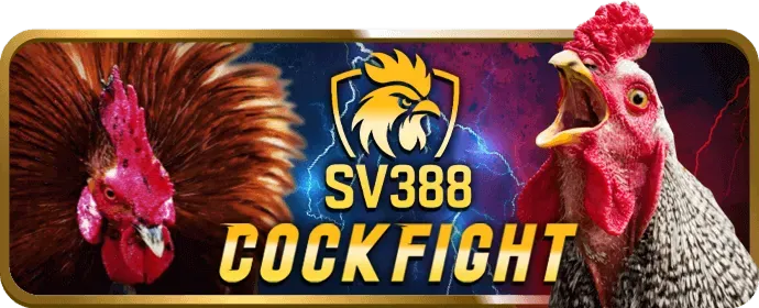 Chương trình VIP fbc8